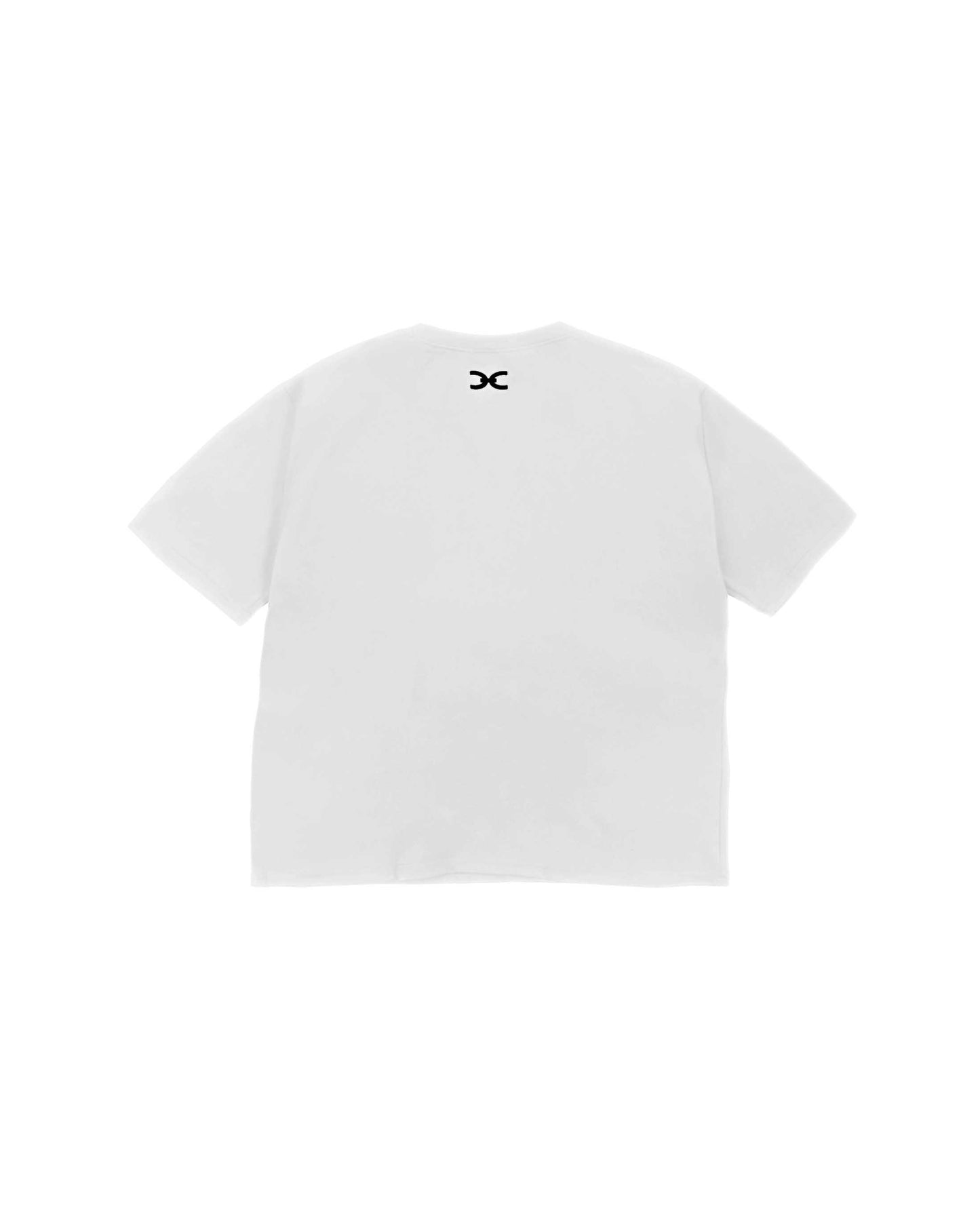 SNOWFALL PERFORMANCE T-SHIRT REGULAR FIT